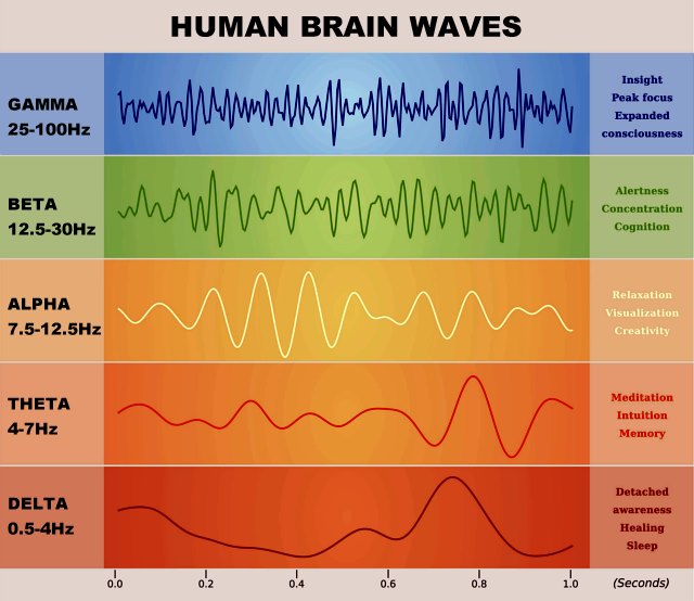 What Are Brainwaves And Why Do They Matter Indy Neurofeedback